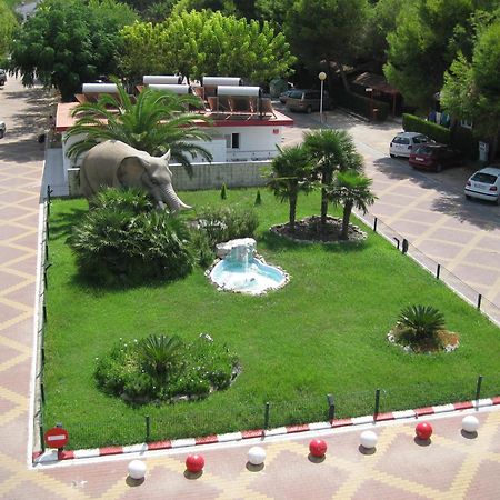 Camping L'Alqueria 간디아 외부 사진