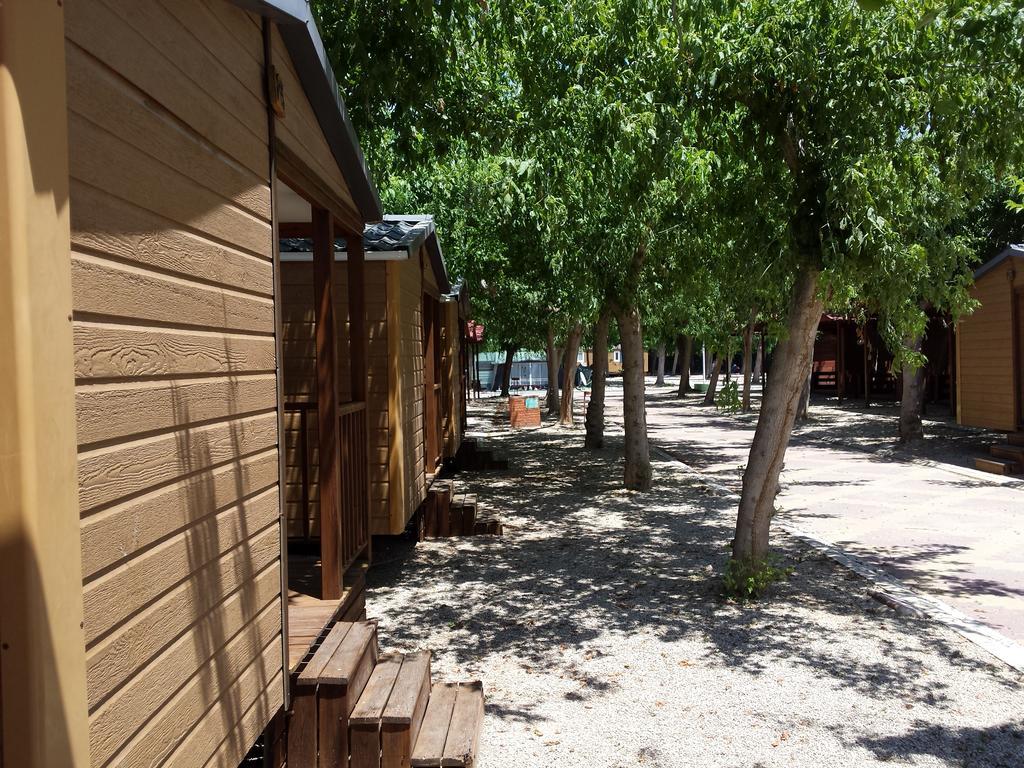 Camping L'Alqueria 간디아 외부 사진